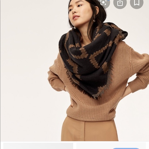 Wilfred Aritzia blanket scarf - Picture 4 of 5